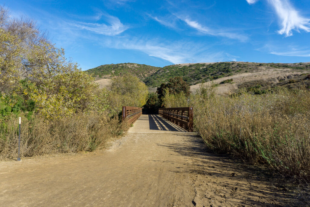 Hiking Trail in Crystal Cove State Park 3 1