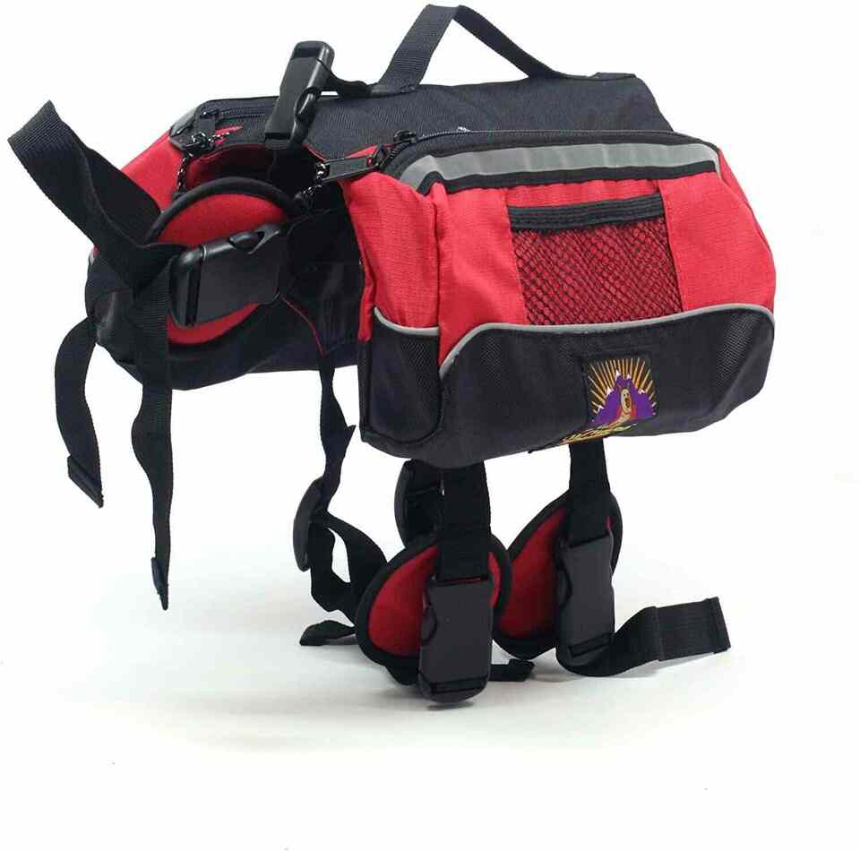 Outward Hound Kyjen Dog Backpack
